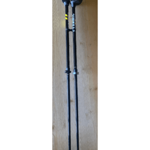 Dynamic ski poles